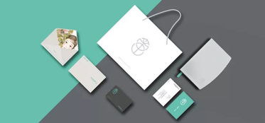 2017德國(guó)紅點(diǎn)設(shè)計(jì)大獎(jiǎng)（平面類）獲獎(jiǎng)作品完整版 設(shè)計(jì)洞察與翻譯解讀